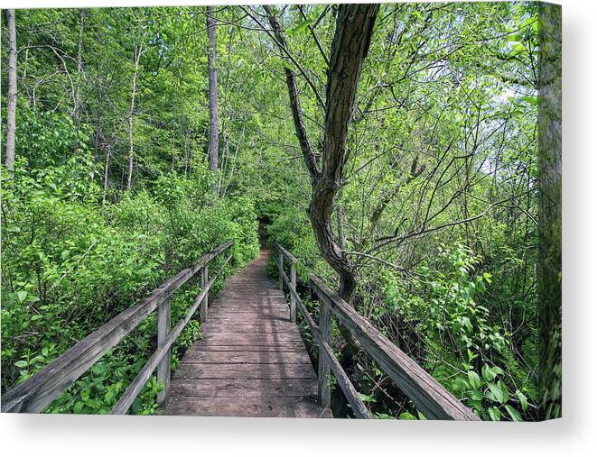 Hiking Canvas Print featuring the photograph In the Trees by Jackson Pearson