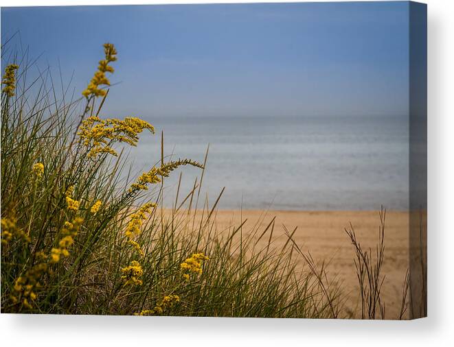 Beach Canvas Print featuring the photograph Indiana Dunes on Lake Michigan by Ron Pate