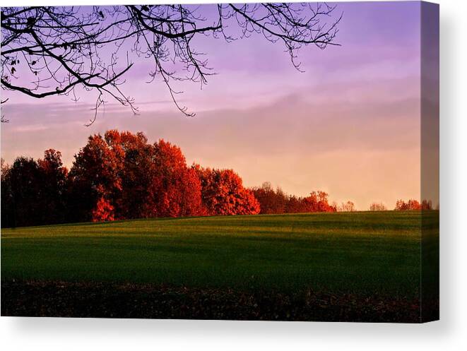 Landscape Canvas Print featuring the photograph Indiana Sunset by Diane Merkle