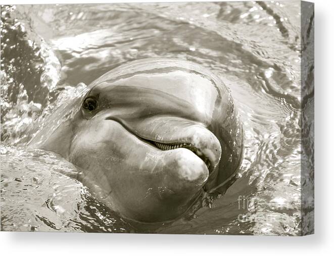 Dolphin Canvas Print featuring the photograph Intelligent by Becqi Sherman