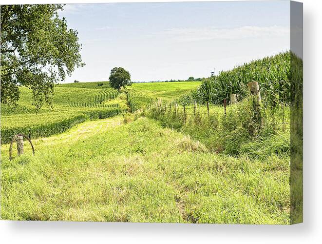 Corn Canvas Print featuring the photograph Iowa Corn Field by Scott Hansen