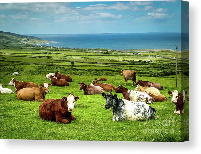 Ireland Canvas Print featuring the photograph Ireland - Westcoast by Juergen Klust