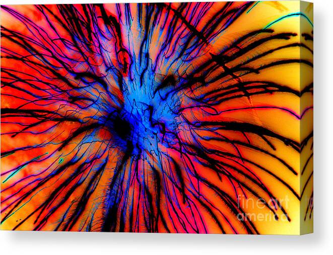 Firework Canvas Print featuring the photograph It Came Out Of The Blue by Leah McPhail