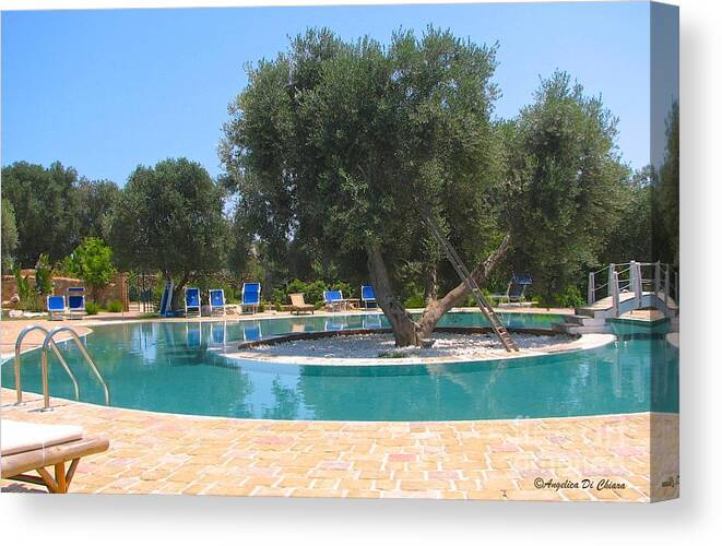Cityscape Canvas Print featuring the photograph Italy Resort- Olive Tree in Pool by Italian Art