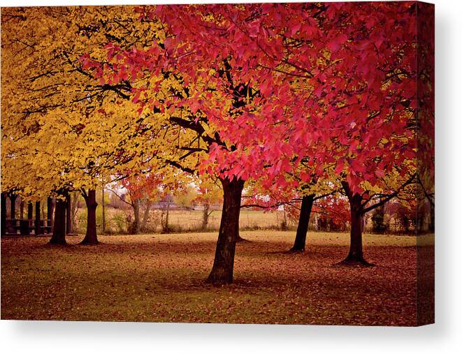  Landscapes Canvas Print featuring the digital art It's Time to Turn by Linda Unger
