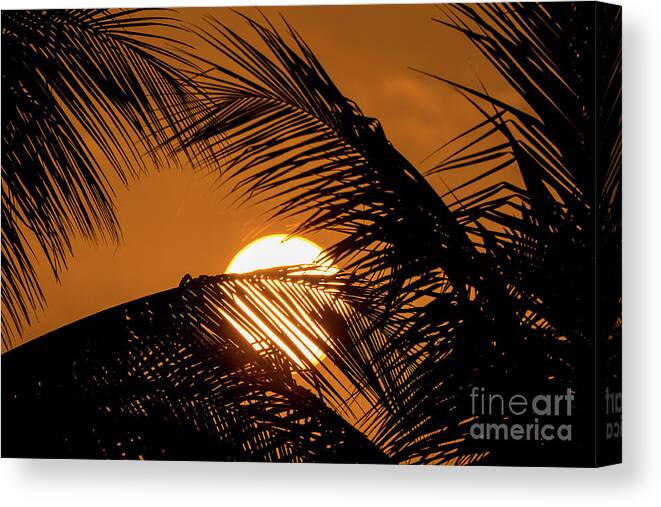 Sunset Canvas Print featuring the photograph Jamaican Sunset by Craig Shaknis