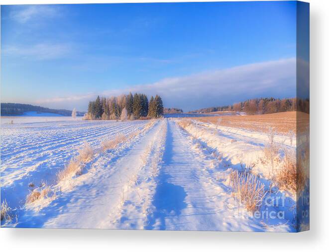 Atmosphere Canvas Print featuring the photograph January Day 3 by Veikko Suikkanen