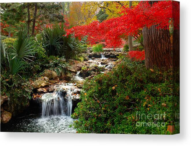 Landscape Canvas Print featuring the photograph Japanese Garden Brook by Jon Holiday
