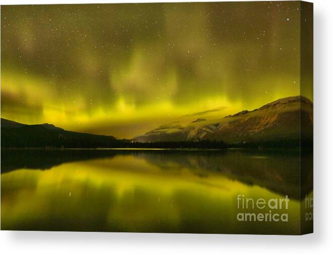 Northern Lights Canvas Print featuring the photograph Jasper Pulsating Skies by Adam Jewell