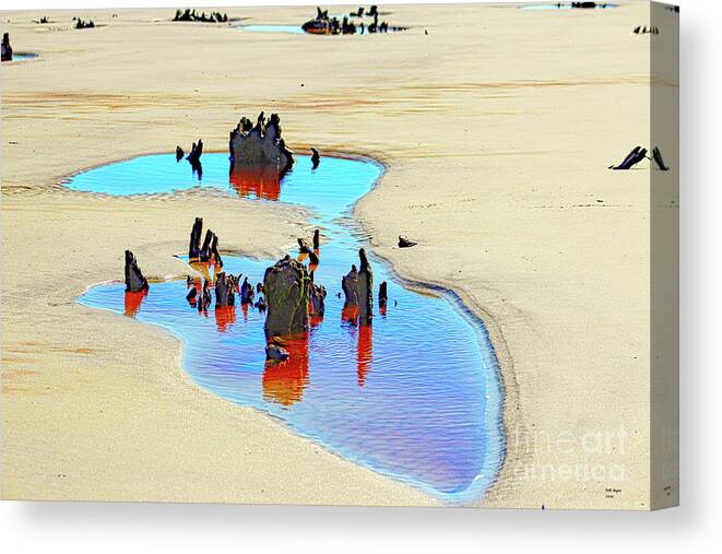 Nature Canvas Print featuring the photograph Jekyll Driftwood Beach Puddle by DB Hayes