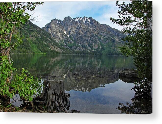 Jenny Lake Canvas Print featuring the photograph Jenny Lake by Ben Prepelka