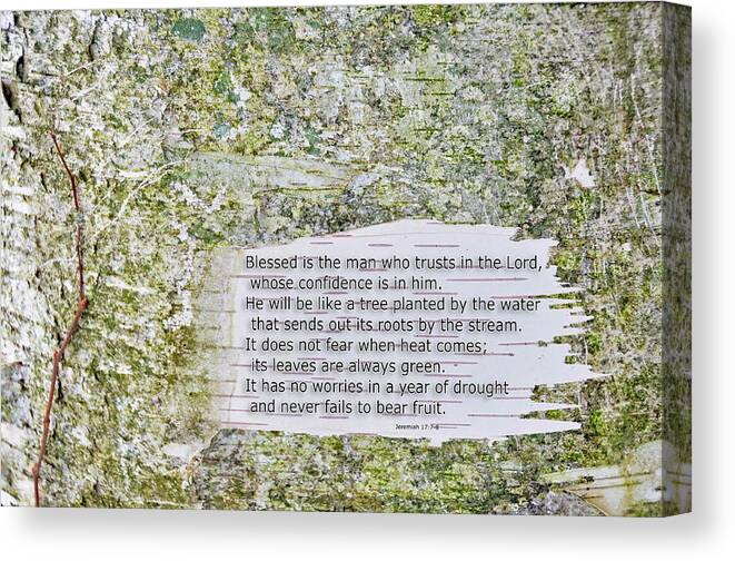 Background Canvas Print featuring the photograph Jeremiah 17 by David Arment
