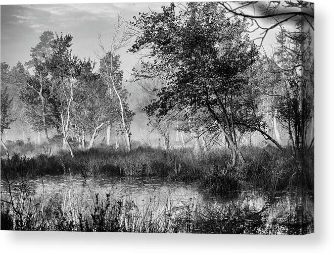 B&w Canvas Print featuring the photograph Jersey Pine lands in Black - White by Louis Dallara