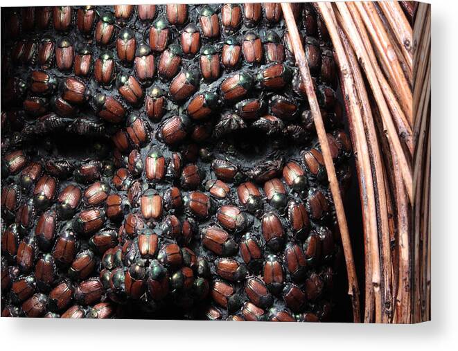 Nature Art Canvas Print featuring the sculpture Jeweled by Adam Long