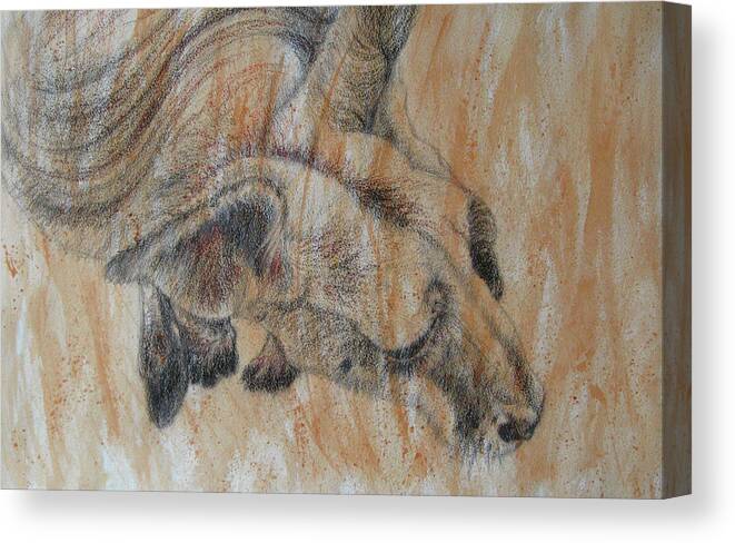 Joey Canvas Print featuring the mixed media Joey by Diane Quee