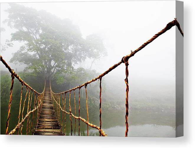 Rope Bridge Canvas Print featuring the photograph Jungle Journey by Skip Nall