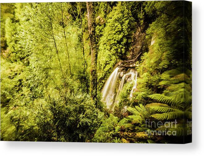 Jungle Canvas Print featuring the photograph Jungle steams by Jorgo Photography