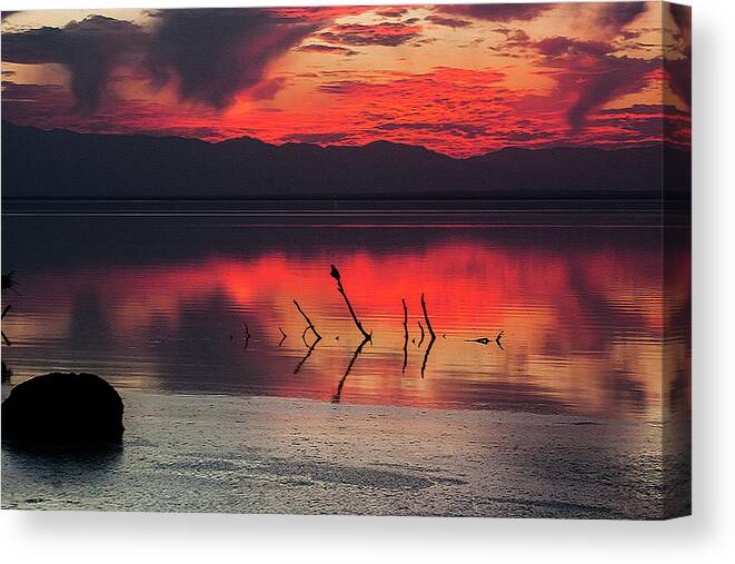  Canvas Print featuring the photograph Just Beneath The Surface by Mike Trueblood