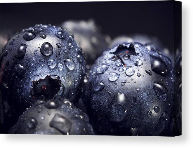 Blueberry Canvas Print featuring the photograph Just Washed by Happy Home Artistry