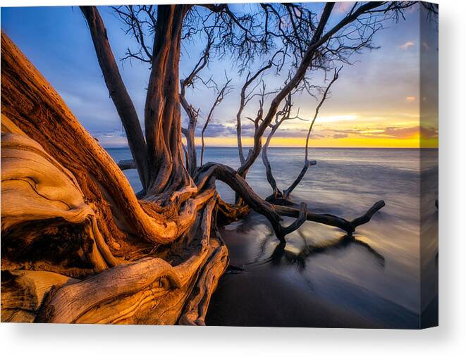 Maui Canvas Print featuring the photograph Kailiili Sunset by Christopher Johnson