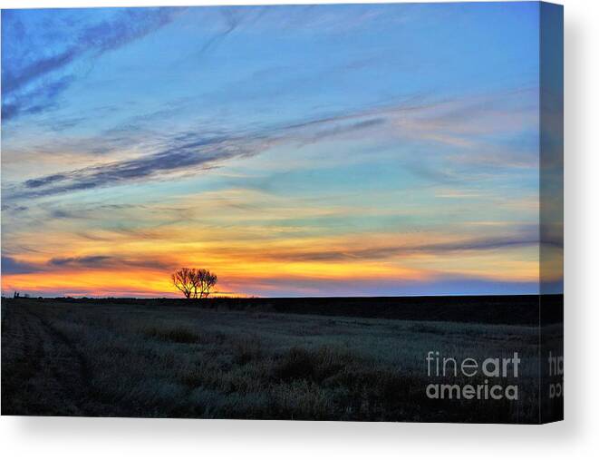 Tree Canvas Print featuring the photograph Kansas sunrise1 by Merle Grenz