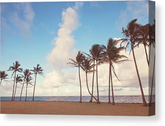 Kauai Canvas Print featuring the photograph Kauai Palm Trees by Melanie Alexandra Price