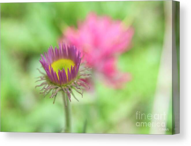 #nature Canvas Print featuring the photograph Keep It Simple by Jacquelinemari