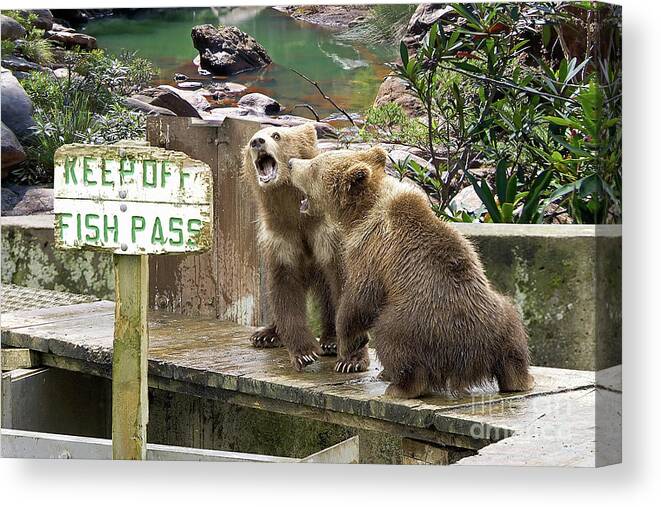 Keep Off Fish Pass Canvas Print featuring the photograph Keep Off Fish Pass by Liane Wright