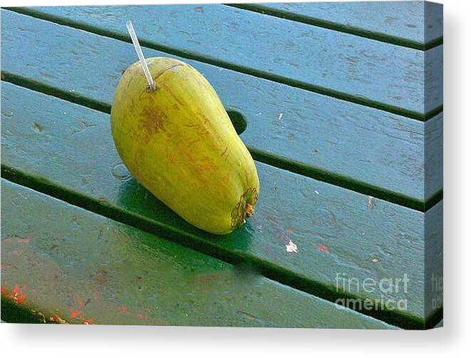 Key West Coconut Water Florida Canvas Print featuring the photograph Key West Anyone? by Margaret Welsh Willowsilk