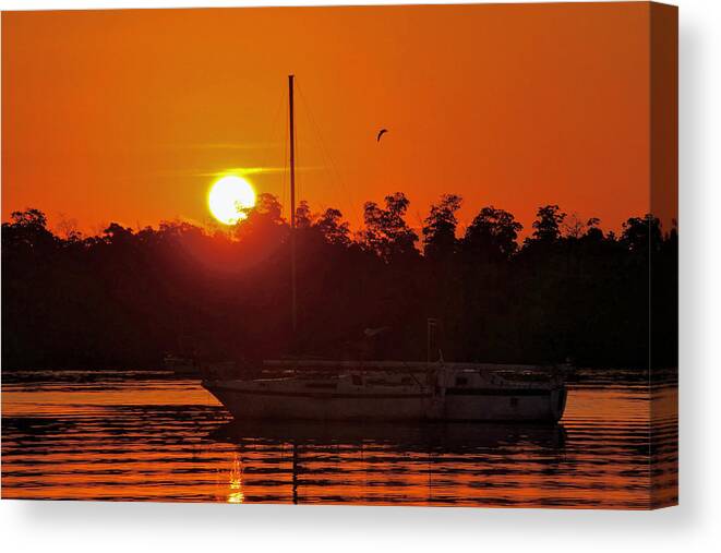 Sunrise Canvas Print featuring the photograph Key West Sailboat Silhouette Sunrise by Bob Slitzan