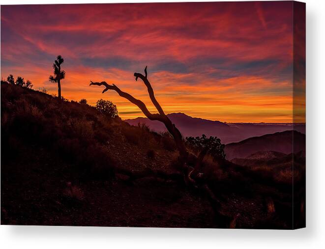 California Canvas Print featuring the photograph Keys View by Peter Tellone