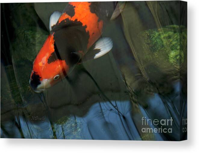 Koi Reflection Canvas Print featuring the photograph Koi Reflection by Natalie Dowty