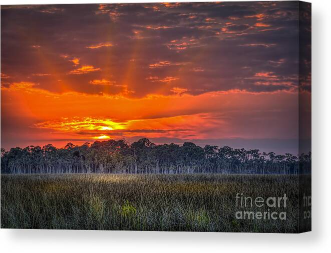 Pine Island Canvas Print featuring the photograph Labor Of Love by Marvin Spates