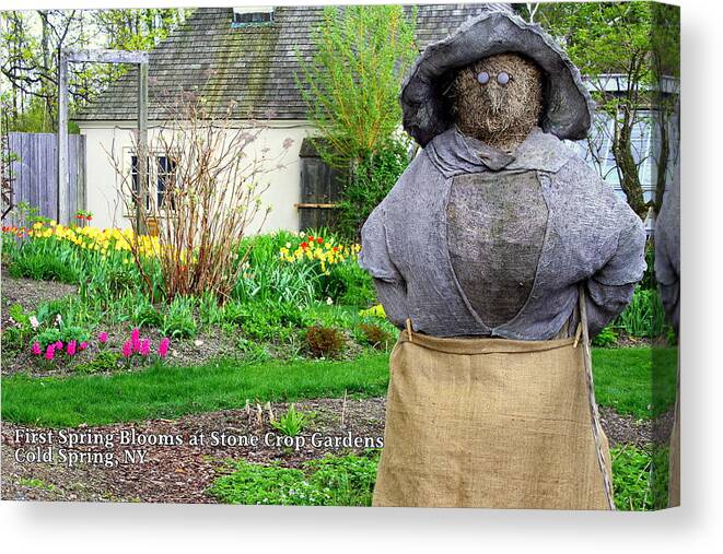 Stone Crop Gardens Canvas Print featuring the photograph Lady of the Gardens Stone Crop Gardens NY by DazzleMe Photography