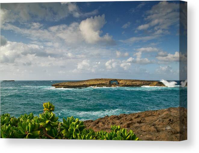 Laie Point Canvas Print featuring the photograph La'ie Point Sea Arch by Dan Mihai