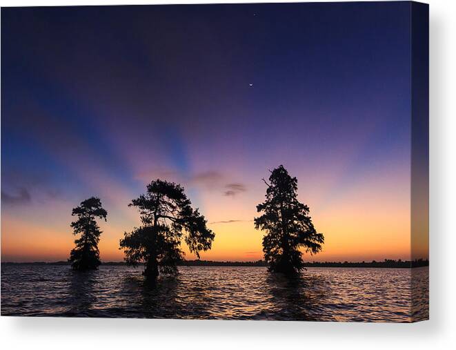 Lake Istokpoga Canvas Print featuring the photograph Lake Istokpoga sunrise by Stefan Mazzola