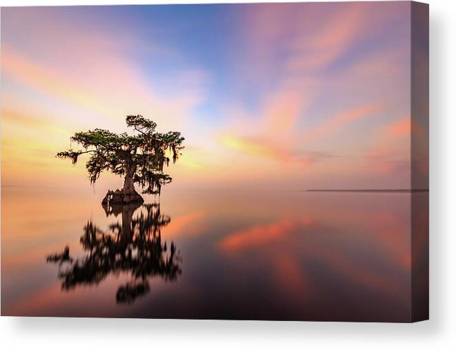 Blue Cypress Lake Canvas Print featuring the photograph Lake Sunrise by Stefan Mazzola