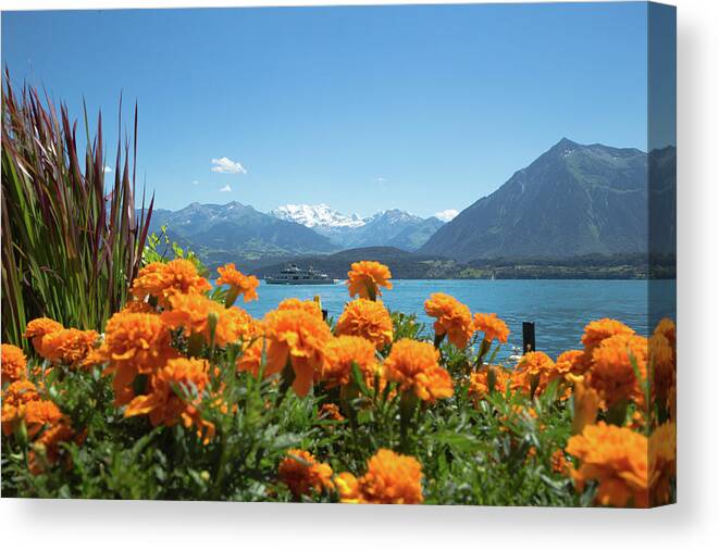 Lake Canvas Print featuring the photograph Lake Thunersee by Andy Myatt