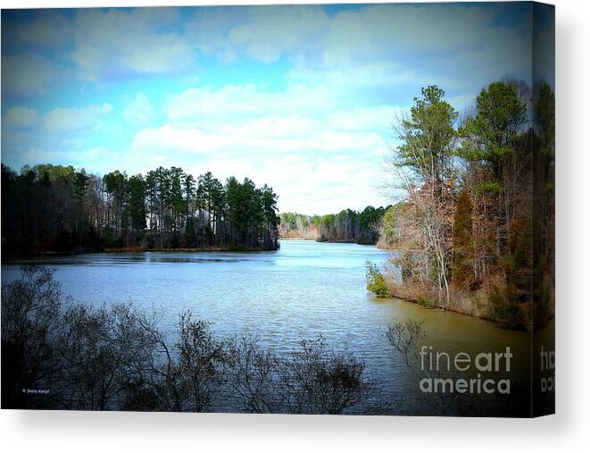 Art Canvas Print featuring the photograph Lake View by Shelia Kempf