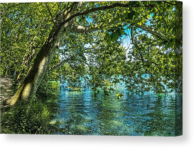 Printemps Canvas Print featuring the photograph Lakeside in the Parc Tete dOr by W Chris Fooshee