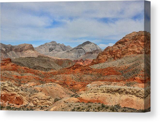 Desert Canvas Print featuring the photograph Land of fire by Tammy Espino