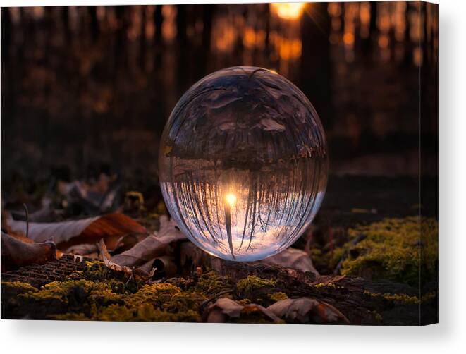 Landscape Canvas Print featuring the photograph Landscape by Craig Szymanski