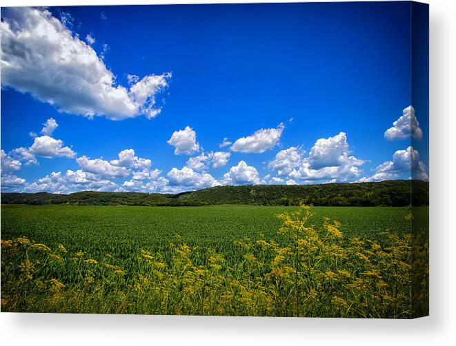 Field Canvas Print featuring the photograph Lanesboro Fields by Bill and Linda Tiepelman
