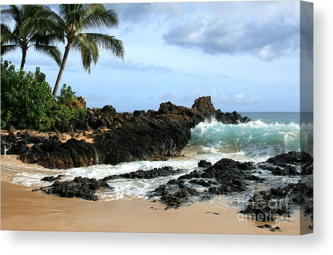Aloha Canvas Print featuring the photograph Lapiz Lazuli Stone Aloha Paako Aviaka by Sharon Mau