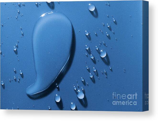Water Canvas Print featuring the photograph Large and small water droplets viewed from above by Simon Bratt