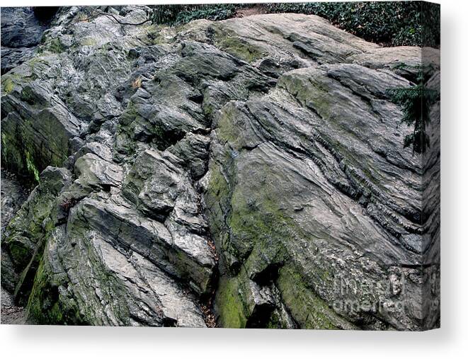 Rock Canvas Print featuring the photograph Large Rock at Central Park by Sandy Moulder