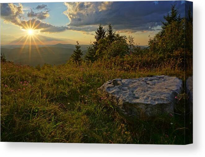 Light Canvas Print featuring the photograph Last Light - Strength by Amanda Jones