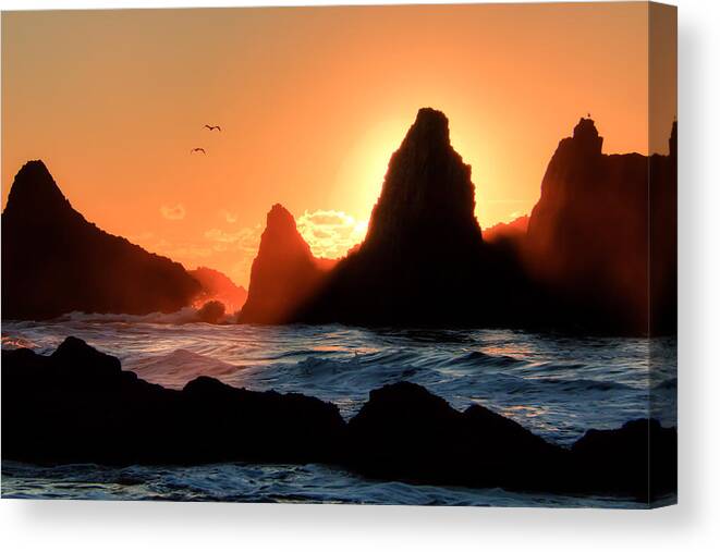 Landscape Canvas Print featuring the photograph Last Light 0090 by Kristina Rinell