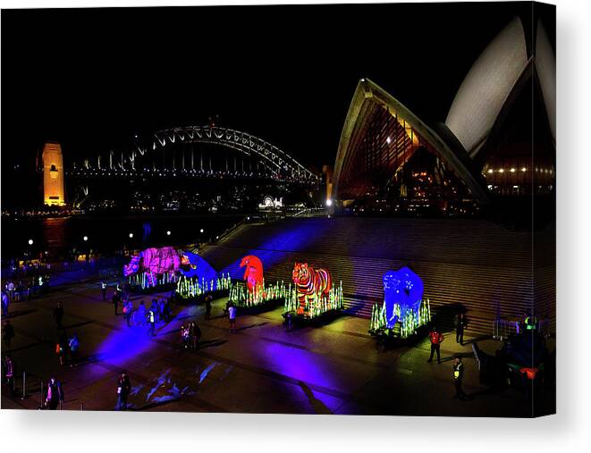Animals Canvas Print featuring the photograph Last Stand At Opera House For Our Wildlife 2 by Miroslava Jurcik