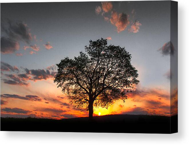 Sunrise Canvas Print featuring the photograph Lasting Hope by Everett Houser